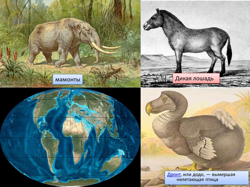 Эоценовая эпоха            